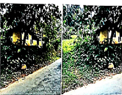 Sri Meenakshi, Thodupuzha, Kerala (Archived)